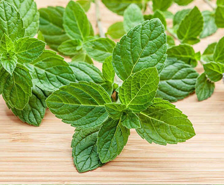 Top 17 mặt nạ trị mụn sưng đỏ với nguyên liệu thiên nhiên an toàn 5 Mat na tri mun sung do tu la bac ha
