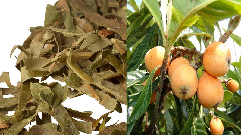 Mụn trứng cá quanh miệng: Nguyên nhân và cách khắc phục hiệu quả 7 mun trung ca quanh mieng 1