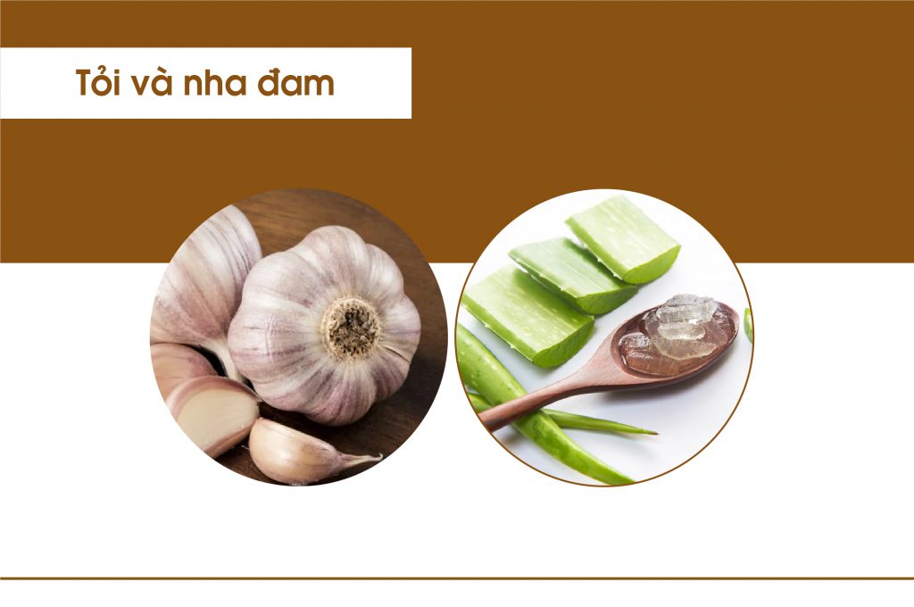 5 Cách trị mụn thâm bằng tỏi an toàn, hiệu quả 4 Tỏi kết hợp với nha đam là phương pháp điều trị mụn được chi em tin dùng.