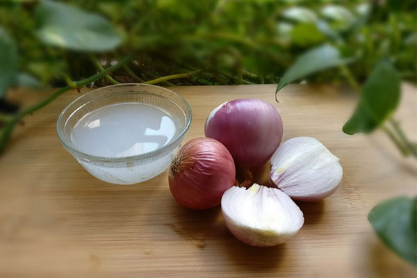 Hướng dẫn cách dùng hành tây trị nấm da đầu tại nhà 3 Nước ép hành tây có tác dụng tẩy vảy, giảm ngứa và kích thích mọc tóc