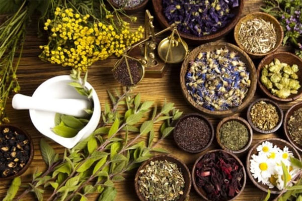 Bệnh nấm da đầu có chữa khỏi không? 6 Hầu hết các bài thuốc dân gian chữa nấm da đầu chỉ góp phần cải thiện triệu chứng.