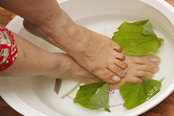 Chữa bệnh bằng các nguyên liệu tự nhiên tại nhà