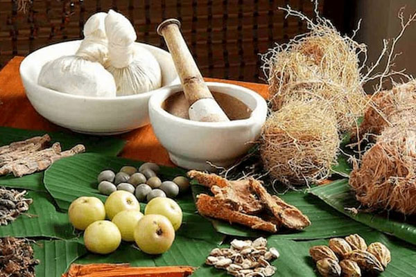 Chữa bệnh chàm bằng các bài thuốc nam