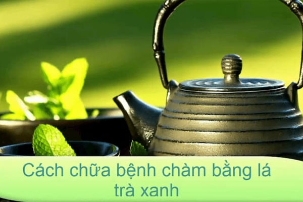 Lá chè xanh chữa bệnh chàm khá hiệu quả