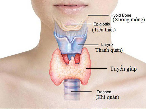 Các bệnh lý tuyến giáp như suy giáp, cường giáp cũng gây ngứa da
