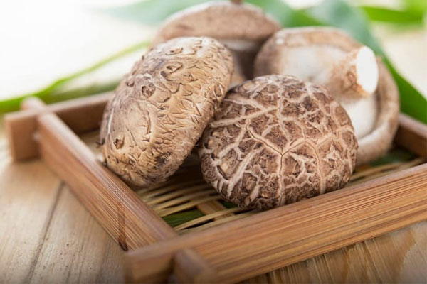 Nấm đông cô thực phẩm được khuyên dùng cho người bị viêm da dầu