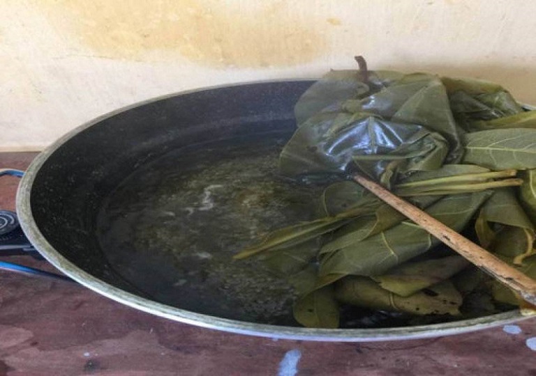 Chữa Tổ Đỉa Bằng Lá Bàng