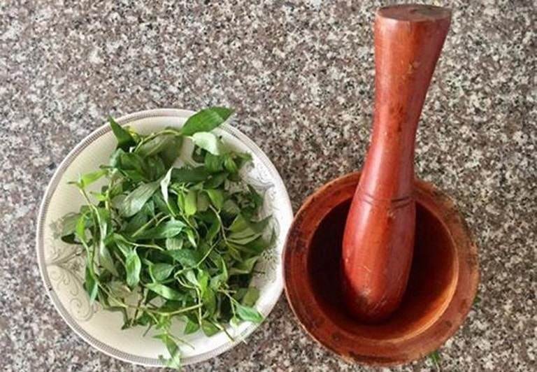 Giã nát rau răm rồi đắp trực tiếp lên vùng da cần điều trị sẽ giúp các triệu chứng thuyên giảm nhanh chóng