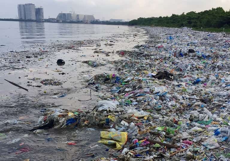 Môi trường ô nhiễm có thể là nguyên nhân sinh ra nấm bệnh