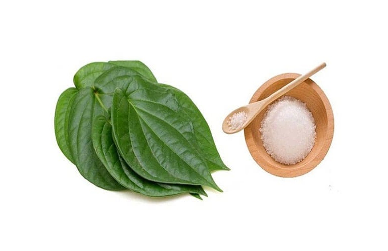 Kết hợp lá trầu không với muối để tăng hiệu quả chữa viêm da cơ địa
