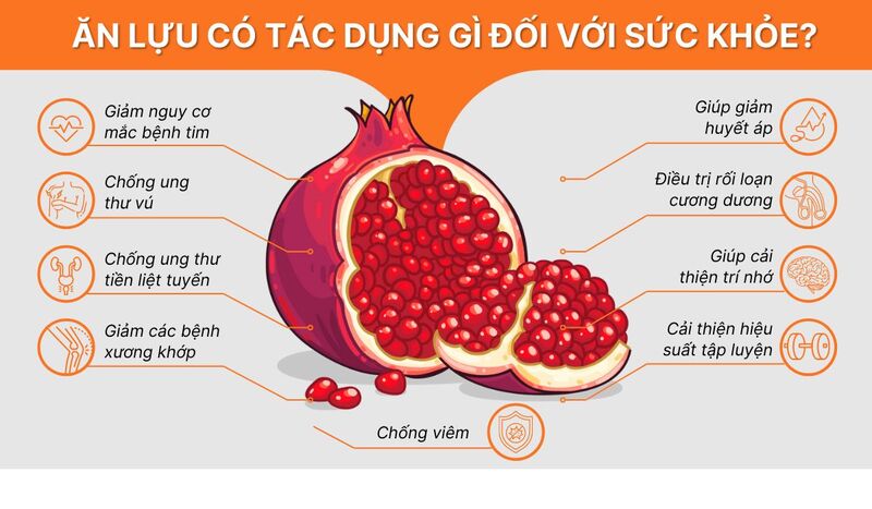 Lựu mang lại giá trị tuyệt vời cho sức khỏe con người