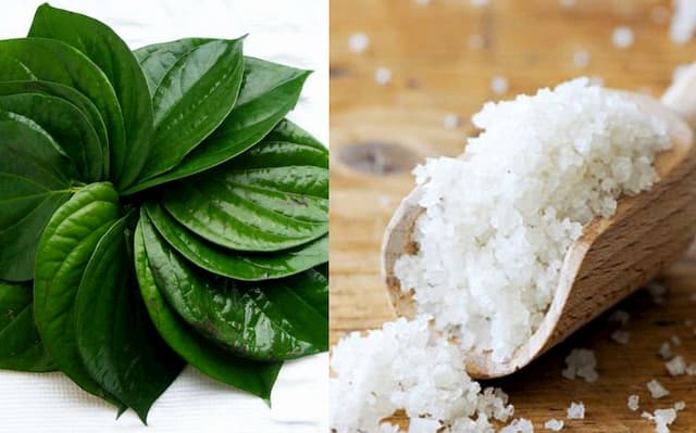 Trị chàm bằng lá trầu không có hiệu quả không? 2023 4 Dùng lá trầu không và muối trị chàm