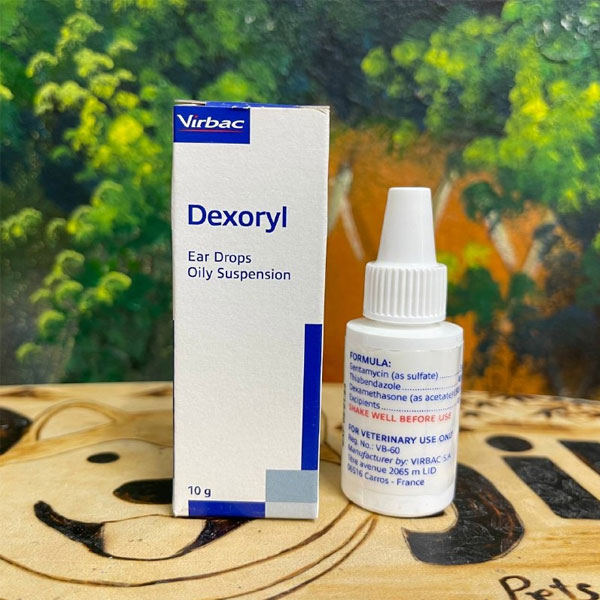 Top 8 loại thuốc trị viêm tai cho chó mèo hiệu quả nhất hiện nay 7 Thuoc nho tri viem tai cho meo Dexoryl 2
