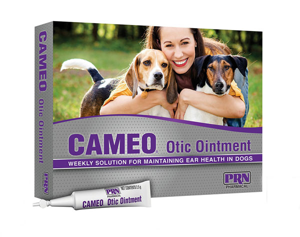 Top 8 loại thuốc trị viêm tai cho chó mèo hiệu quả nhất hiện nay 17 Thuoc tri viem tai cho meo Cameo 1