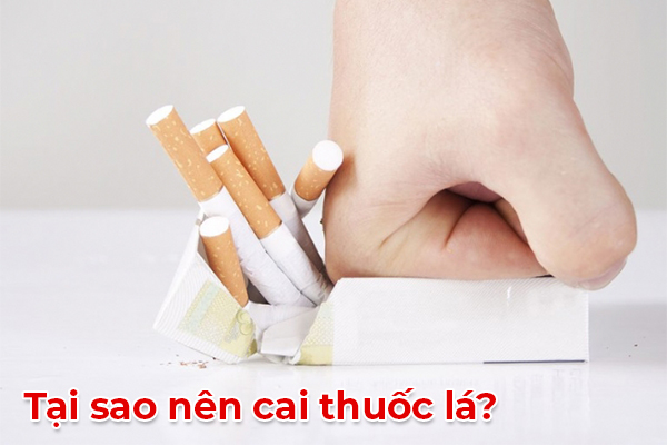 Tại sao nên cai thuốc lá?