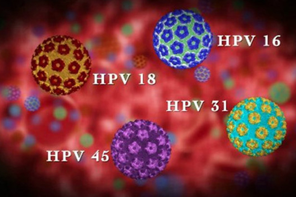 HPV (Human Papillomavirus) là nguyên nhân gây bệnh sùi mào gà