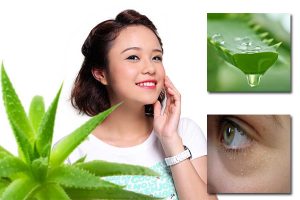 Cách trị mụn thịt bằng nha đam