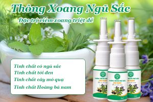 Thuốc thông xoang ngũ sắc Chân Nguyên